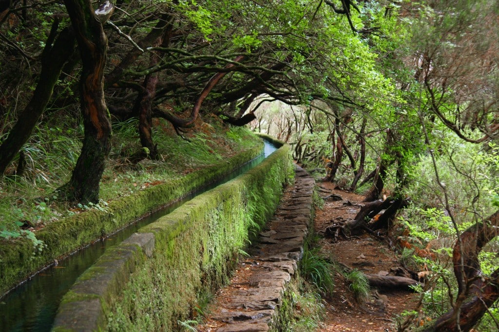 Levada_Madeira