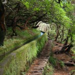 Madeira – Wandern entlang der alten Wasserwege